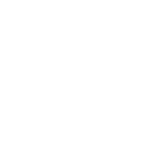 Fearless Photographers Logo fearless photographers
