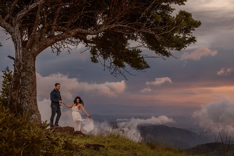 Wedding Photography in Costa Rica: couple standing under a windswept tree on a misty mountaintop at sunset