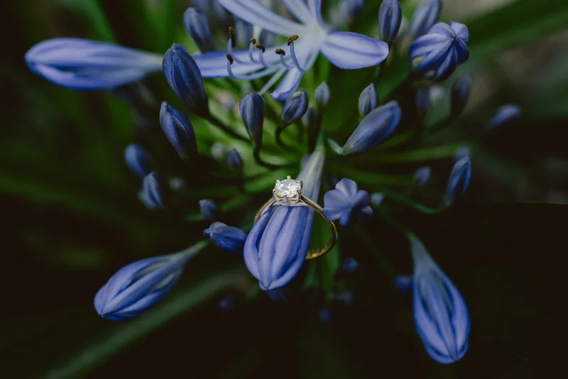 Macro floral detail photographed by a Costa Rica wedding & elopement photographer for Isaac and Diana's wedding