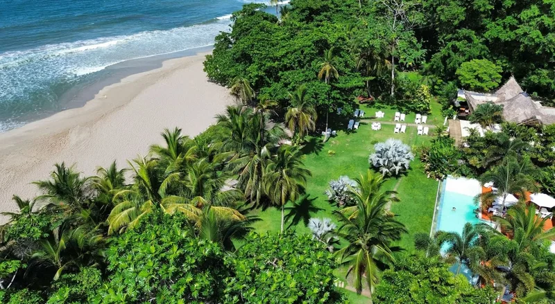 Aerial view of the beachfront lawn, palm trees and pool at Le Caméléon Hotel in Puerto Viejo, Caribbean Costa Rica